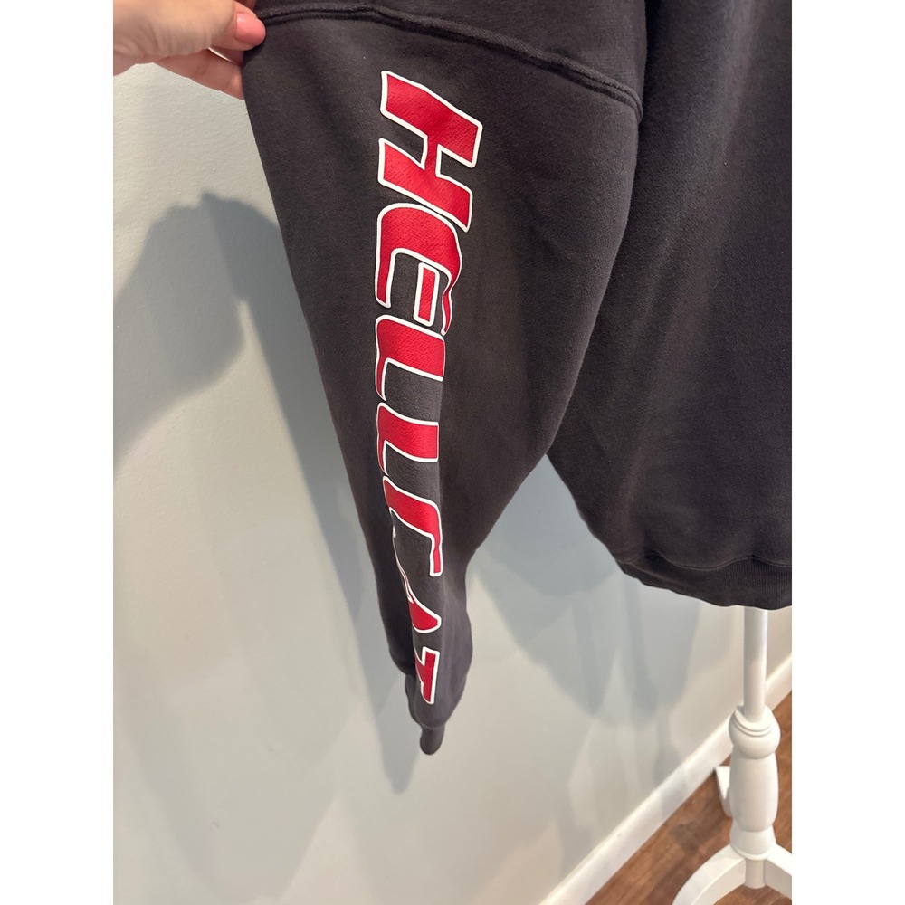Hollister Men's Dodge Gray Hoodie Sweatshirt L - Picture 4 of 5